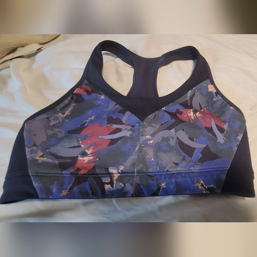 Patagonia Blue and Red Sports Bra